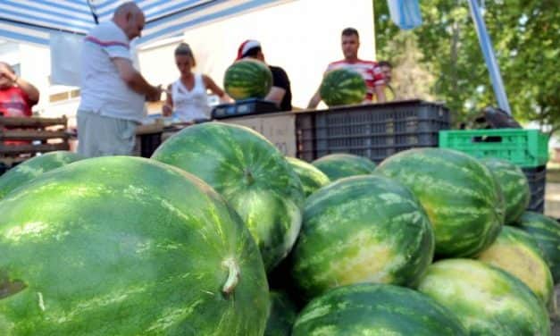 Még néhány hétig tart a dinnyeszezon