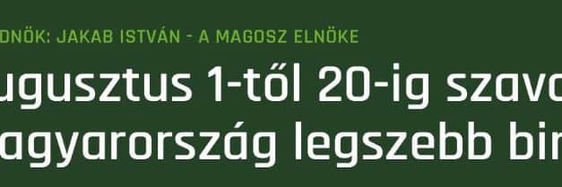 A FruitVeB partnerei közül is indultak Magyarország Legszebb Birtoka 2019. versenyén