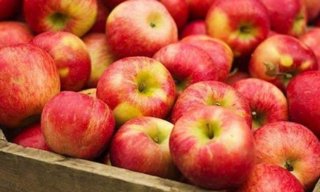 Nincs árnyomás az alma hazai piacán