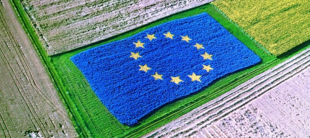 Hazánkkal együtt az Európai Unió húsz tagállama utasította el a KAP források csökkentését