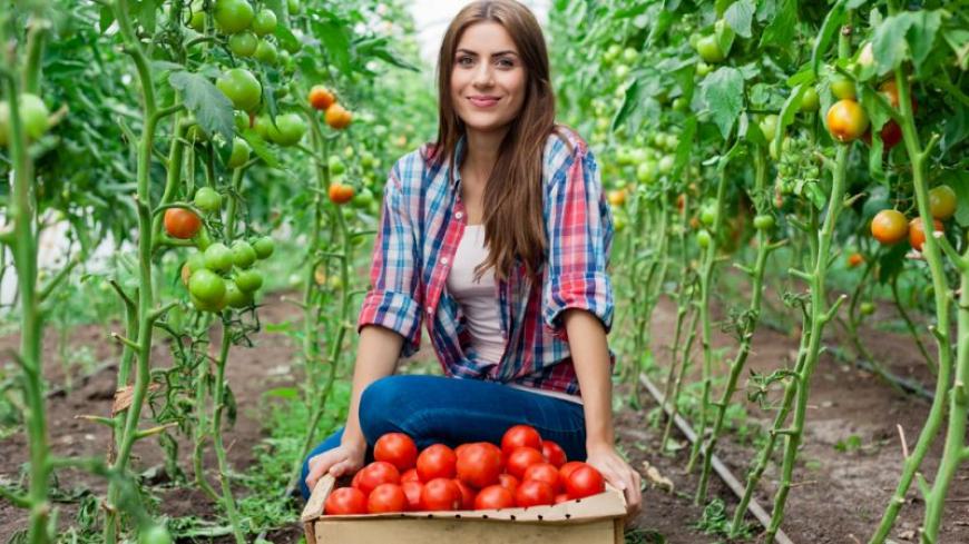 Felhívás: Women in Agrifood program