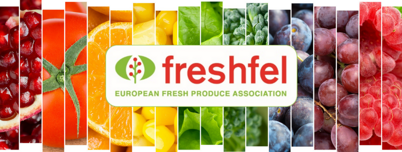Freshfel: Nemzetközi zöldség-gyümölcs szakmaközi kollégiumot alakít az INTERFEL, a HORTIESPAÑA, az ORTOFRUTTA ITALIA a BO G&F NEDERLAND