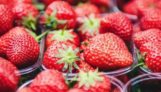 A hazai szamócatermesztés és a 2020. évi kilátások