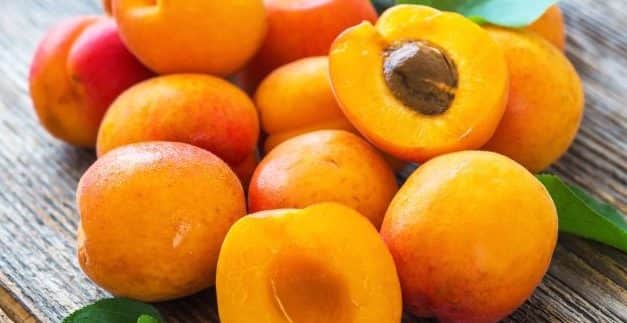 Európai kajszikilátások enyhe tél és fagyos tavasz után