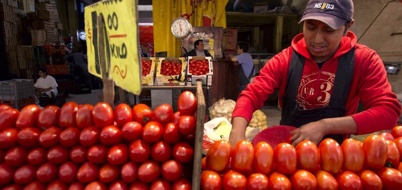 Franciaország leállítja a marokkói paradicsom importját