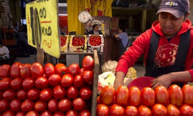 Franciaország leállítja a marokkói paradicsom importját