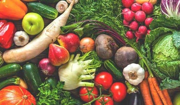 FruitVeB Bulletin 2019 – Bevezető