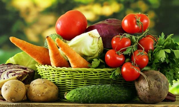 FruitVeB Bulletin 2019 – Zöldségtermesztés II. rész