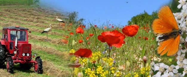 Változott az AKG programban nem használható növényvédőszer-hatóanyagok listája