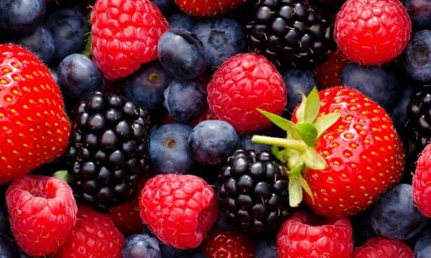 Változás – módosult a Pyregard rovarölő készítmény bogyósgyümölcs kultúrákban szükséghelyzeti engedéllyel történő felhasználásának előírása