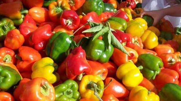 Az étkezési paprika világkereskedelme 2019-ben