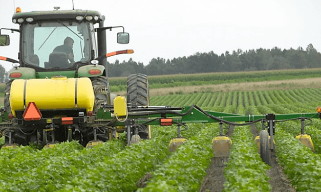 Csak a vizsgára bejelentett vagy már levizsgázott permetezőgépek használhatóak