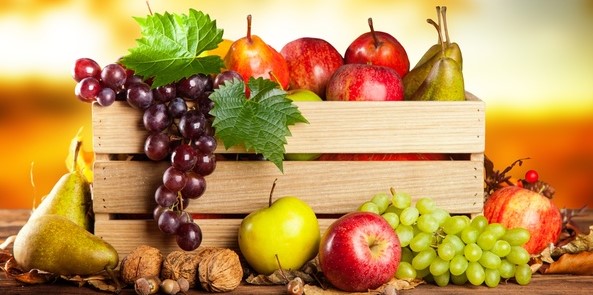 FruitVeB Bulletin 2019 – Gyümölcstermesztés I. rész