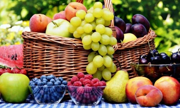 FruitVeB Bulletin 2019 – Gyümölcstermesztés III. rész