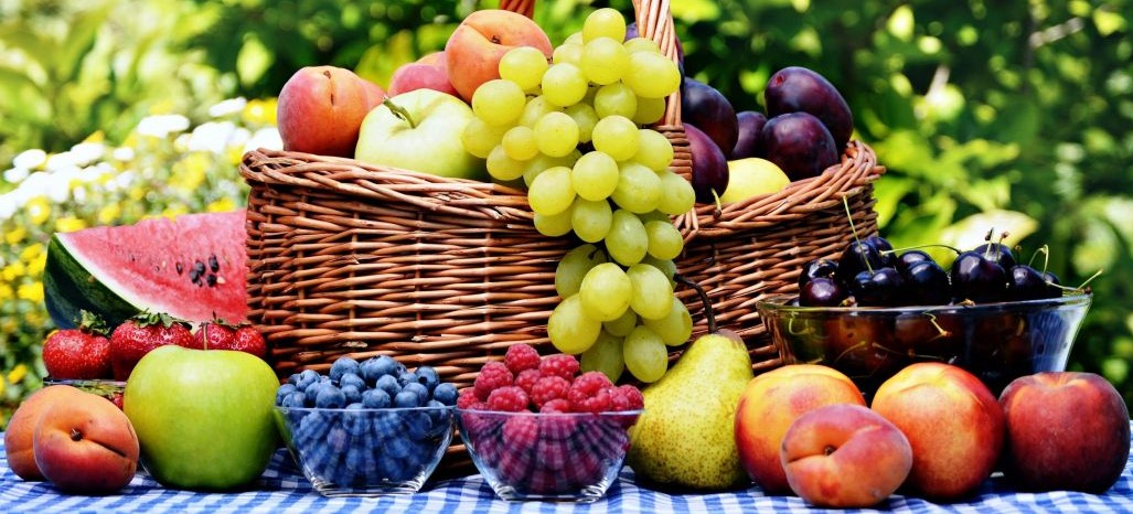 FruitVeB Bulletin 2019 – Gyümölcstermesztés III. rész