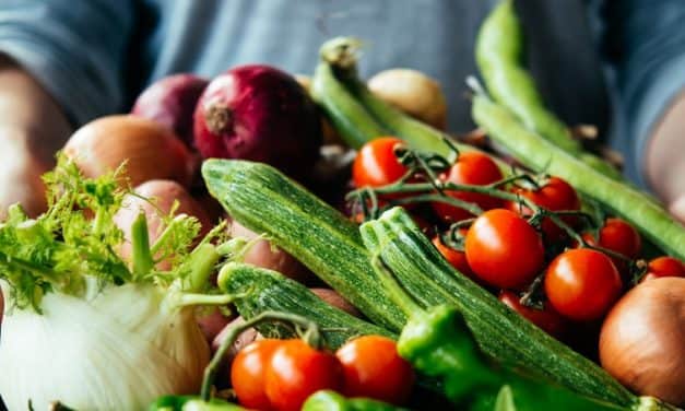 FruitVeB Bulletin 2019 Zöldségtermesztés III. rész