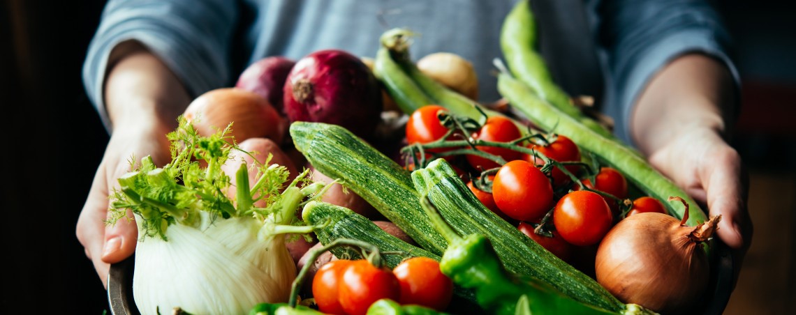 FruitVeB Bulletin 2019 Zöldségtermesztés III. rész