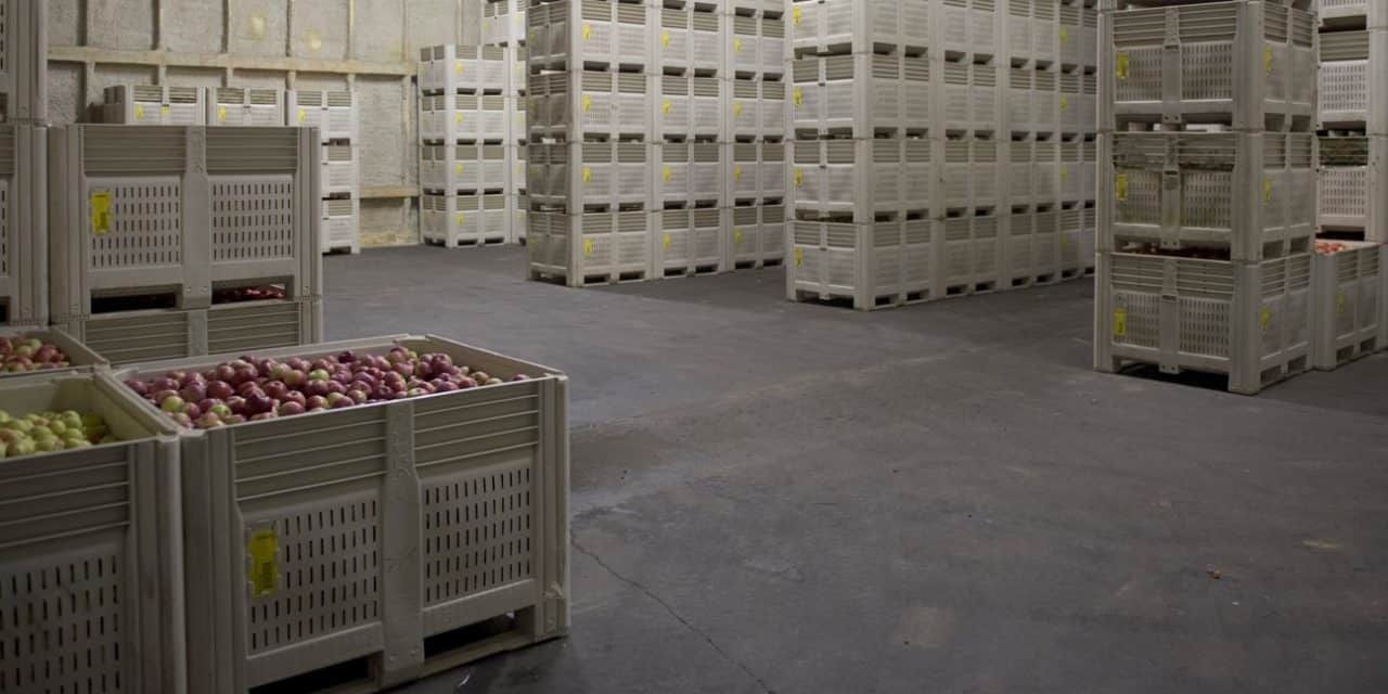 Lengyelországban pár héten belül kiürülhetnek a hűtőházak – rekord alacsony szinten az almakészlet