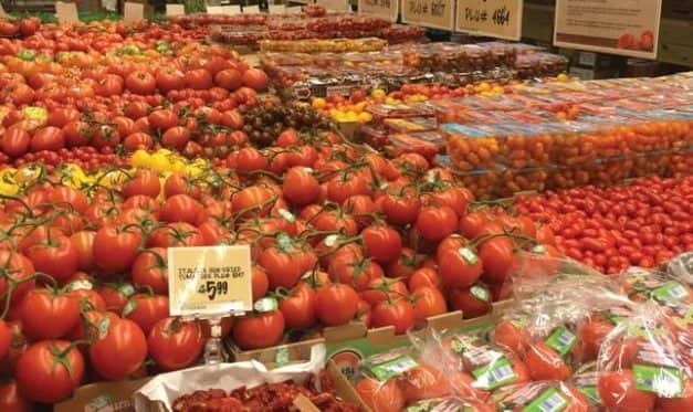 Paradicsompiaci kitekintés