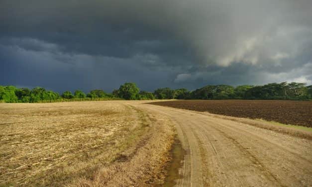 AZ IDEI TERMÉS FELÉT ELPUSZTÍTOTTA A SZÉLSŐSÉGES IDŐJÁRÁS