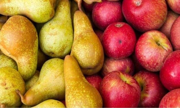 Alma és körte 2020. évi előzetes termésprognózis