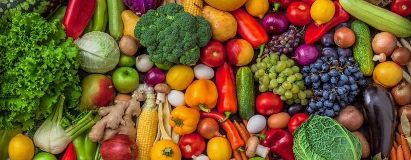 FruitVeB Bulletin 2019 – Zöldség-gyümölcs termőterületek alakulása 2011-2019