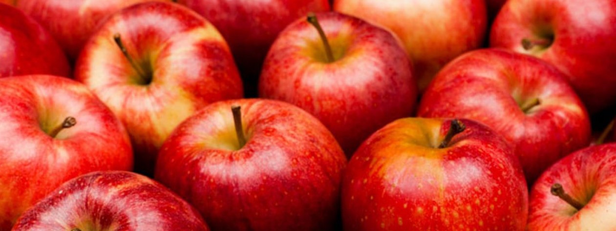Valószínűleg nem jelentősek a lengyel almásokat sújtó fagykárok: 4 millió tonna körüli termés várható