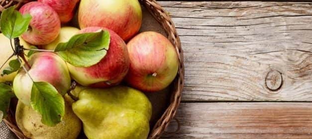 A Prognosfruit 2020 konferencia idei alma és körte terméselőrejelzése: stabil termelési adatok a bizonytalan körülmények közepette is