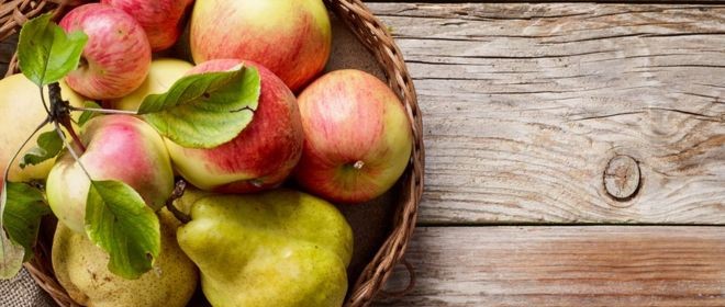 A Prognosfruit 2020 konferencia idei alma és körte terméselőrejelzése: stabil termelési adatok a bizonytalan körülmények közepette is