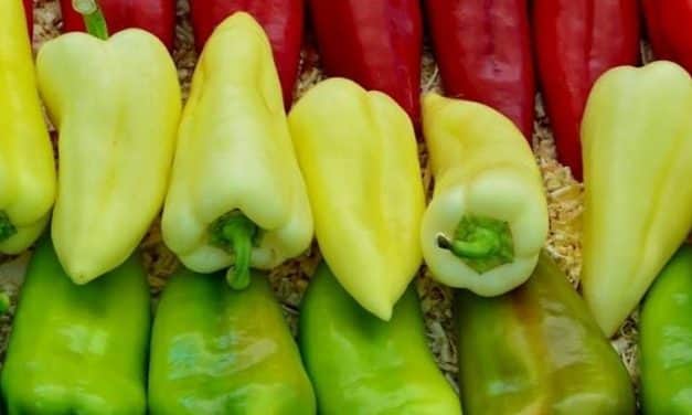 MEGHÍVÓ IX. MAGYAR PAPRIKA NAPJA RENDEZVÉNYRE