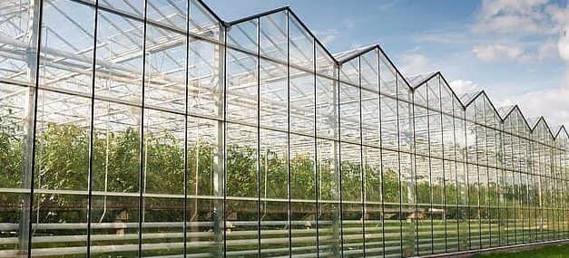 30 milliárd forint kertészeti korszerűsítésre – október 19-től adhatók be a pályázatok