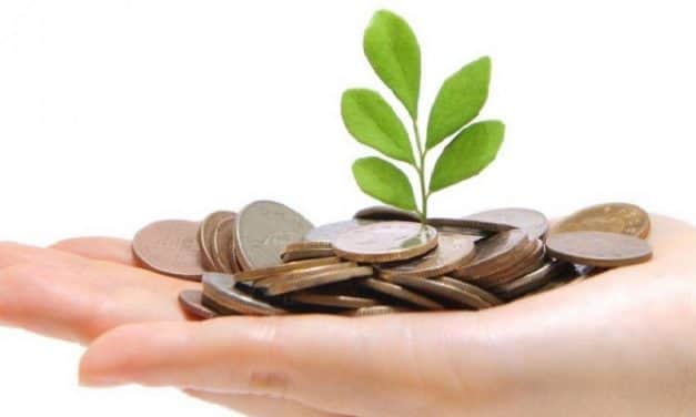 Növeli a hazai zöldség-gyümölcskínálatot az új kertészeti beruházásokat segítő pályázat