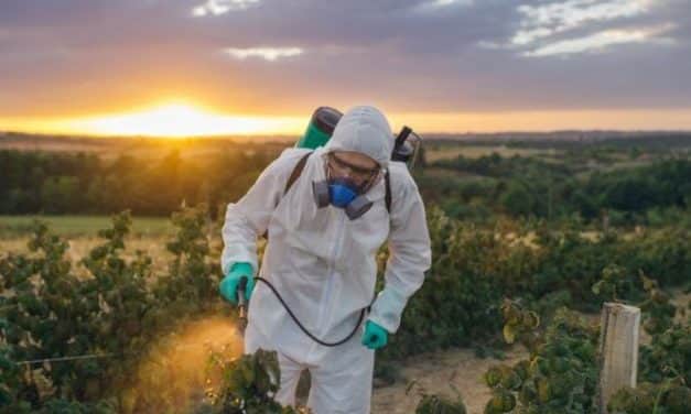 A korábbinál lényegesen több kertészeti kultúrában is felhasználható a Neem Azal T/S rovarölő permetezőszer