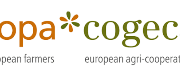 Az európai zöldség-gyümölcs szektor a termelői szervezeteknek köszönhetően jutott túl a Covid-19 első hulláma okozta megrázkódtatásokon