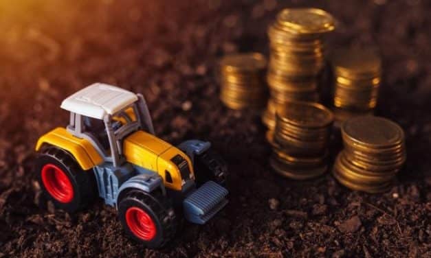 Kihirdetésre kerültek a 2020. évi egységes területalapú támogatás, valamint az egyéb közvetlen támogatások összegei