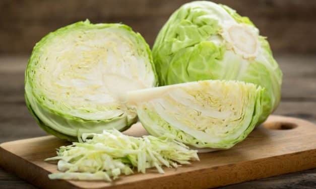 Önköltségi szint alatt az új káposzta ára – Ennyire nem kell?