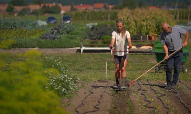 Megjelent a családi gazdaságokról szóló törvény