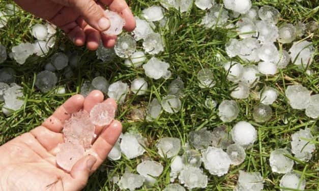 Természeti kockázatok kezelésének tapasztalatai a hazai növénytermesztésben, 2012–2017