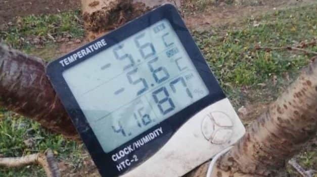 A 2021. évi tavaszi fagyok hatásának értékelése