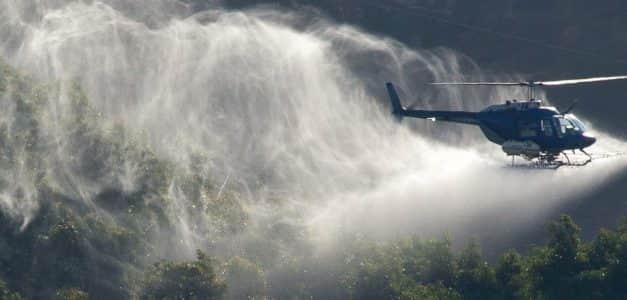 Szükséghelyzeti felhasználási engedély dió kultúrában