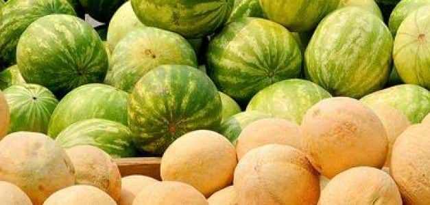 Szükséghelyzeti felhasználási engedély görög- és sárgadinnye kultúrákban