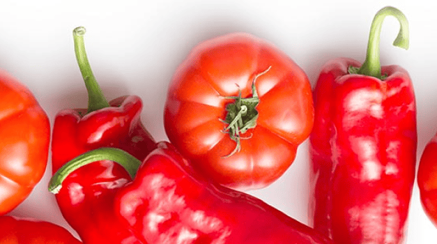 Szükséghelyzeti felhasználási engedély paprika és paradicsom kultúrákban