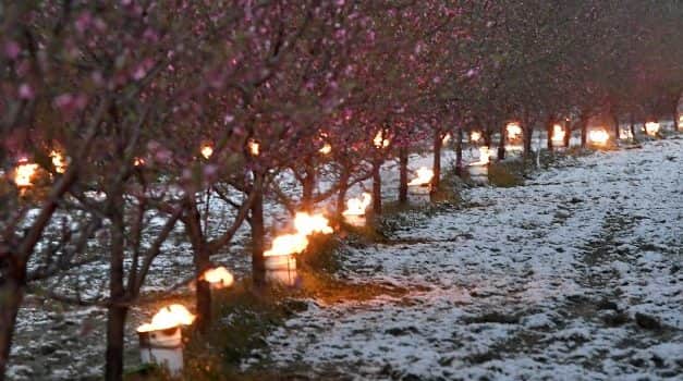 Mezőgazdasági biztosítások és a kárenyhítési rendszer a szélsőséges időjárás jelentette kockázatok tükrében