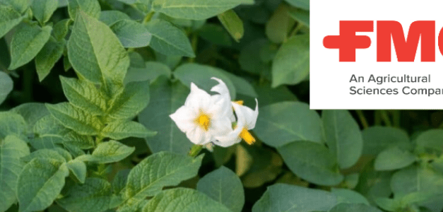 Előtérben a burgonya védelme: Új kihívások, új készítmények! (X)