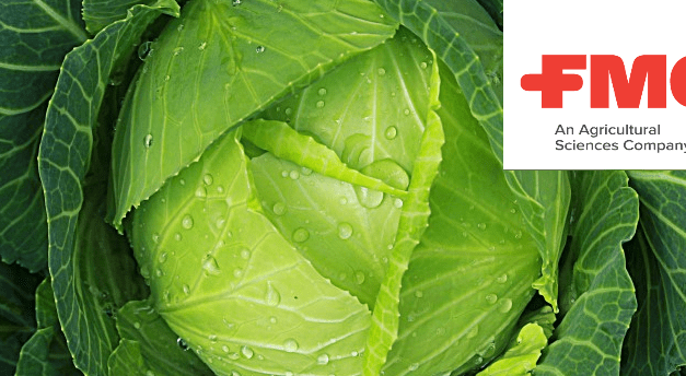 Rezisztenciatörő megoldás a káposzta és burgonya védelmére (X)