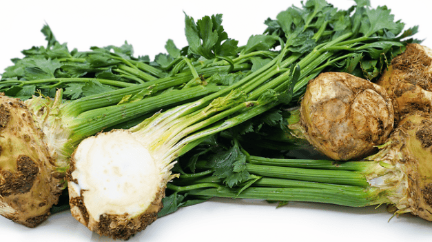 Szükséghelyzeti felhasználási engedély zeller kultúrában