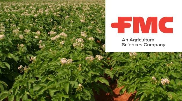 Előtérben a burgonya védelme: új készítmény a burgonya betegségei ellen! (X)