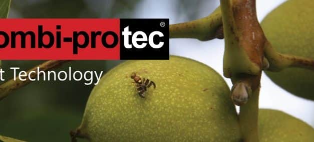 Forgalomba hozatali és felhasználási engedélyt kapott a Combi-protec készítmény