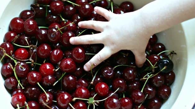 Meggypiaci helyzetkép – 2021. július 05.