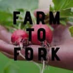Megszavazta az Európai Parlament a vitatott Farm to Fork stratégiát